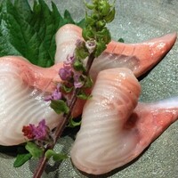 鮨まつもと 横浜店 - 銀鱈のおつくり（アップ）