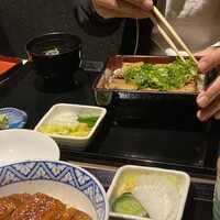 うなぎ 目白ぞろ芽 - 