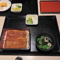うなぎ 目白ぞろ芽 - 