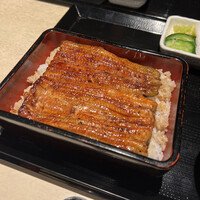 うなぎ 目白ぞろ芽 - 