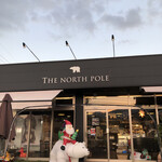 The north pole - 