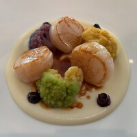 Benoit Alain Ducasse - 