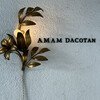 amam dacotan 表参道店