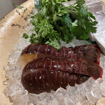 銀座うかい亭 - 