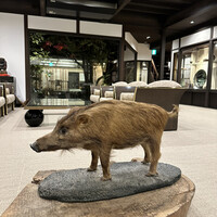 丹波篠山　近又 - 