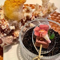 Synager - 白子のフリット
                    バーク豚パテ