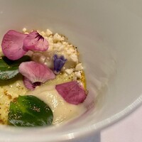 Synager - 牡蠣のフラン
                    カリフラワーのムース