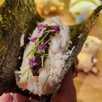 活 かに市 - 蟹とキャビア！幸せすぎる！