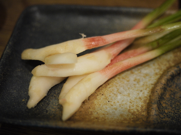 Nogata Ya Shinjuku Omoide Yokocho Ten photo 3
