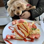 湘南パンケーキ - 