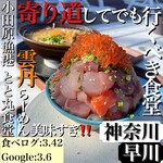 小田原漁港 とと丸食堂 - 