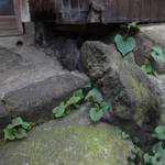 武蔵屋 - 昭和の礎