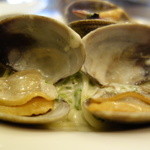 PASTAVOLA - 大粒アサリと生海苔のクリームソース