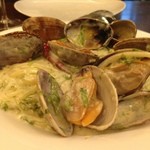 PASTAVOLA - 大粒アサリと生海苔のクリームソース（中毒物）