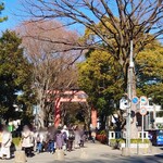 Nigou Baiten Oguma - 日本一長いと噂の氷川神社の参道は2kmほどあるらしい