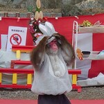 2号売店 おぐま - 氷川神社の境内では猿芝居中。干支のウサギの耳を着けた途端にお猿さんが機嫌を損ねて一旦退散w