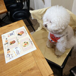 PACE - うーーん・・・