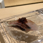 鮨 天使 - カマス