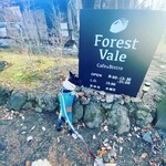 Forest Vale - 