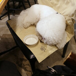 PACE - ごちそう様でした・・♡