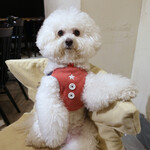 PACE - では、楽な姿勢で・・