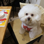 PACE - これで最後なの？