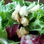 ヴィゴロッソ - ランチサラダ