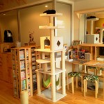 Cat Cafe Nekobiyaka - ニャンコはテッペンがお好き？