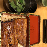 Unagi Hashimoto - 