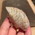 登喜和鮨 - ノドグロ塩漬け