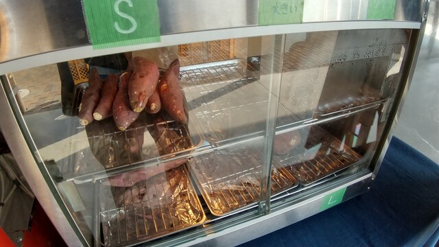 畑楽 - 坂元（その他）の写真