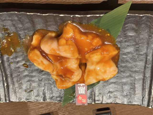 Sakuragawa Sakaba Jonetsu Horumon photo 2