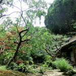 別館 茶寮 お多津 - ＜6月＞庭、入り口付近から