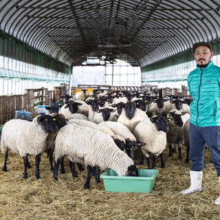 大切にのびのびと育てた羊肉100%