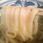 うどんYA - 綺麗な麺ですね