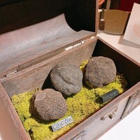 マルゴット エ バッチャーレ - 