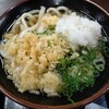 Serufu Udon Yama - かけうどん260円税込