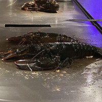 池袋　鉄板焼　ORCA - 