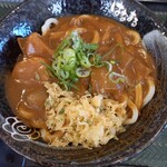 Hanamaru Udon - カレーうどん中(720円)