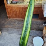 傳兵衛 - 