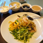 陽陽 - 翡翠麺を使用した上海風冷やし中華　後方は左から杏仁豆腐、スープ、醤油味タレ、ゴマ味タレ