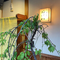 御幸町 田がわ - 