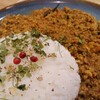 タイシロンカレー - 厚揚げとネギの和風キーマカレー