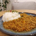 タイシロンカレー - 厚揚げとネギの和風キーマカレー