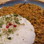 タイシロンカレー - 厚揚げとネギの和風キーマカレー