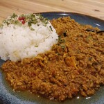 タイシロンカレー - 厚揚げとネギの和風キーマカレー
