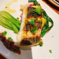 タケル クインディチ(LOQUAT) 西伊豆 - 