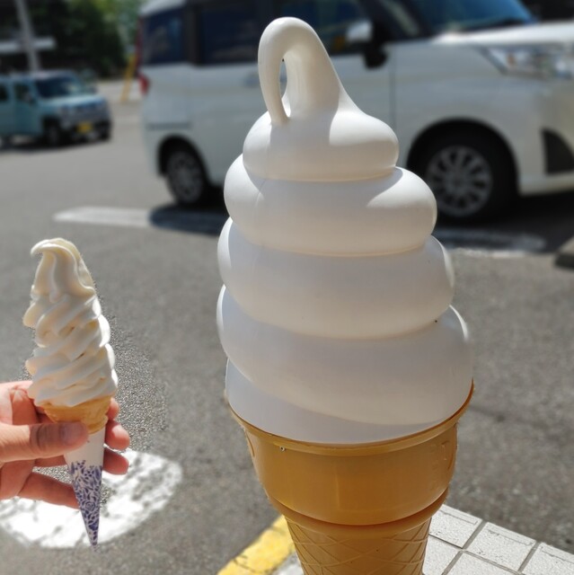 たいせつ農産物直売所 - 永山（その他）の写真