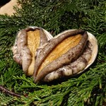 広丞庵　かのか - あわび〜♪