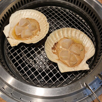 あみやき青麗 - 